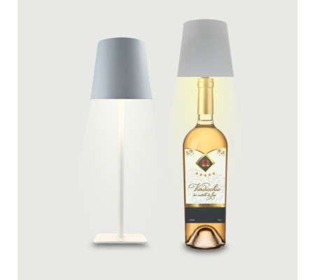 Immagine Lampada Scomponibile